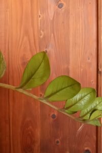 Ειδικά δομικά υλικά Τσαντίλης